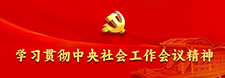     學習貫徹中央社會工作會議精神     2024-11-06