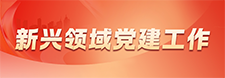     新興領域黨建工作     2025-1-17